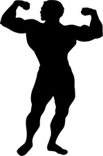 BodyBuilder  Vinyl Decal Body